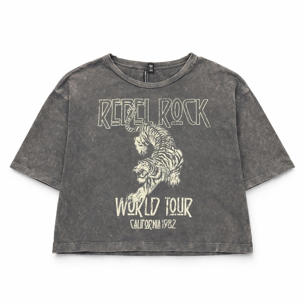 Vero Moda Rebel Rock World Tour Tiger Graphic Tee Mineral Wash Gray Small Boxy